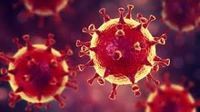 OCM Coronavirus Update 16th March 2020